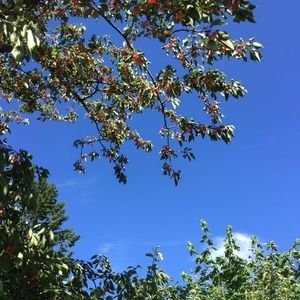 Meet your Posher, Benedict